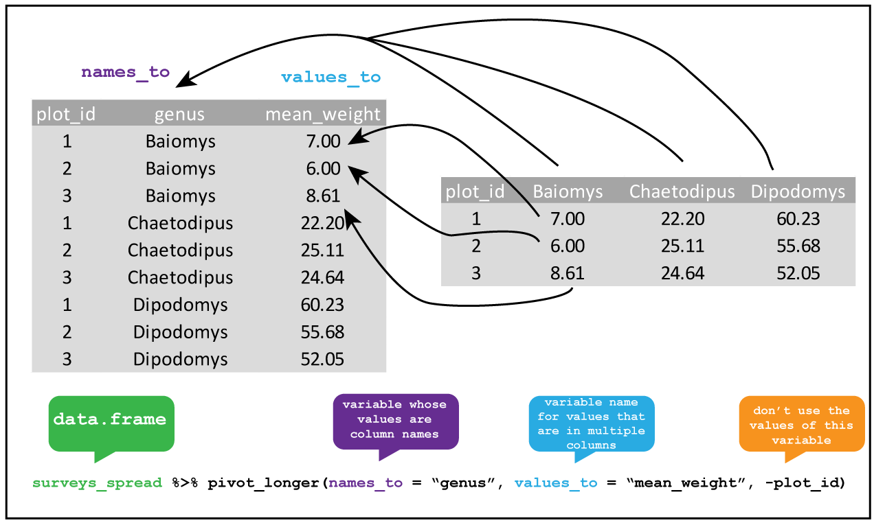 \label{fig:7206x`} Pivoting longer from wide data.