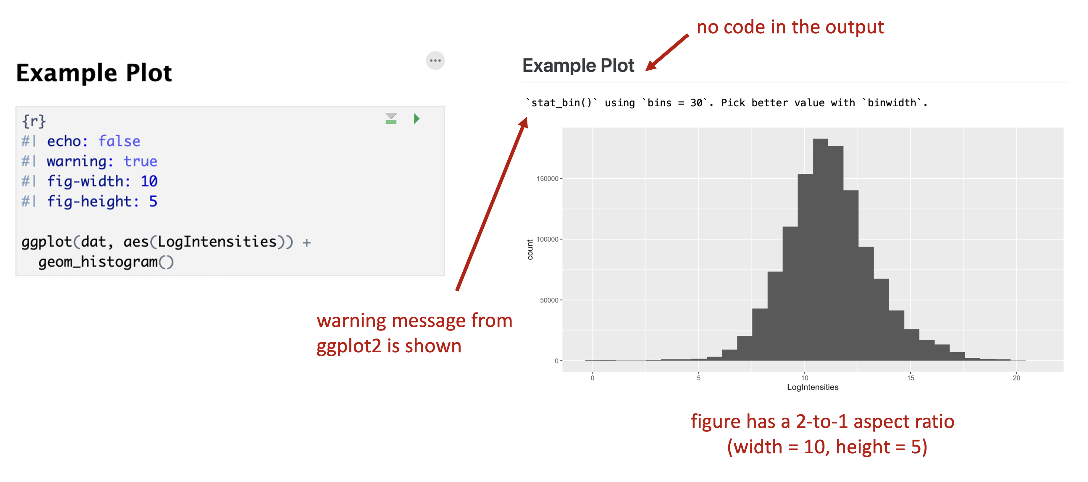 \label{fig:9035}Example code block options and associated output.